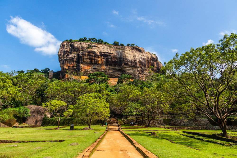 Sri Lanka Monsoon & Winter packages 3